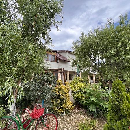 Casa Vera, Tudor Vladimirescu Tulcea Ngoại thất bức ảnh